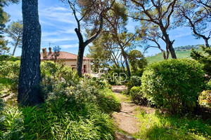 property with sea view in Saint-Mandrier