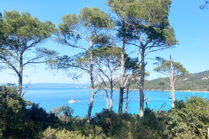 Apartment with sea view in Porquerolles