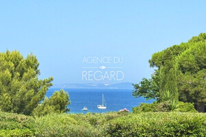 property with sea view in Levant island