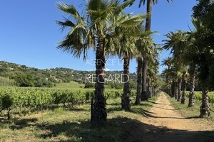 property with sea view in La-Croix-Valmer