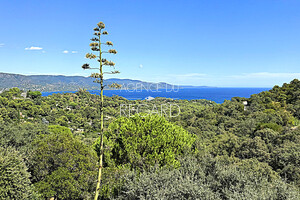 property with sea view in Gaou Bnat