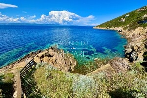 property with sea view in Levant island